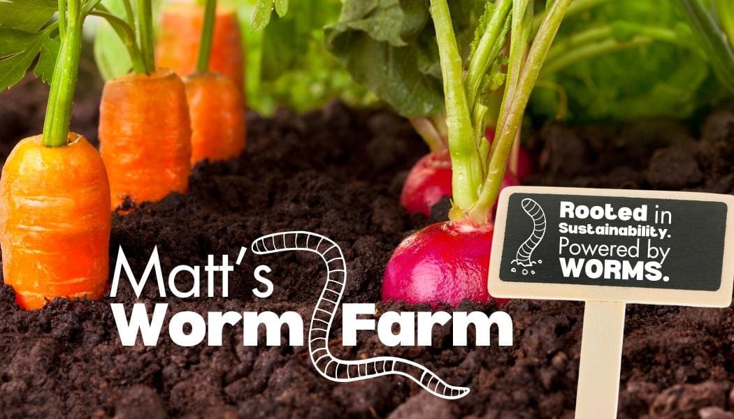 Matt's Worm Farm